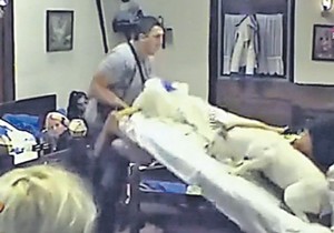 677252_farma-04-foto-tv-pink