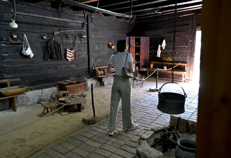 Kuća Živojina Mišića