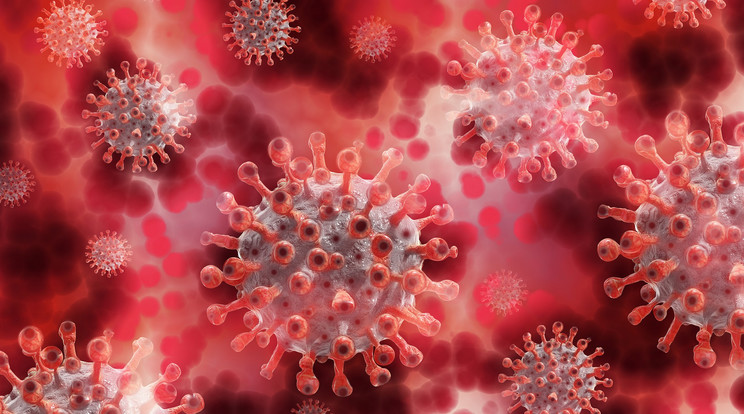 A virológus szerint nem egy elszabadult vírus okozta a covid-járványt / Illusztráció / Fotó: Pixabay