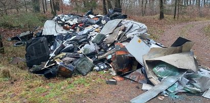 Leśnicy z Lęborka szukają śmieciarza. "Zgubił w lesie cenne rzeczy"