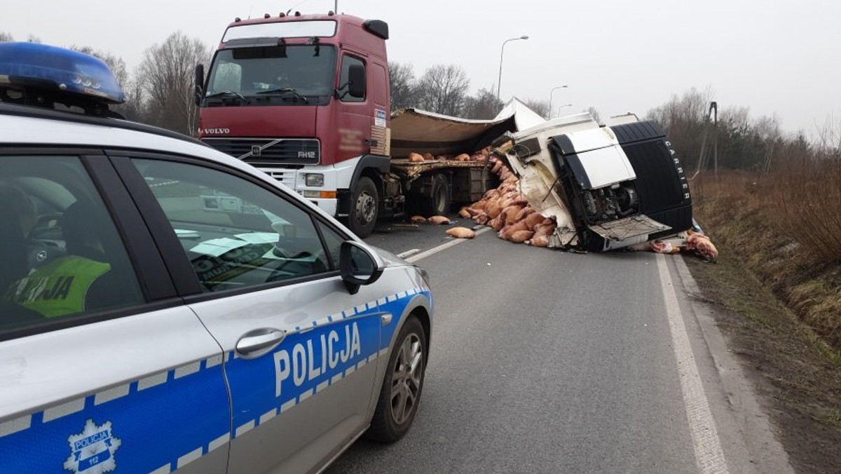 Na ulicy Kokota w Rudzie Śląskiej doszło dziś rano do wypadku z udziałem ciężarówki przewożącej mięso wieprzowe, które wysypało się z naczepy. Wyjazd z miasta w kierunku Zabrza utrudniony był przez kilka godzin.