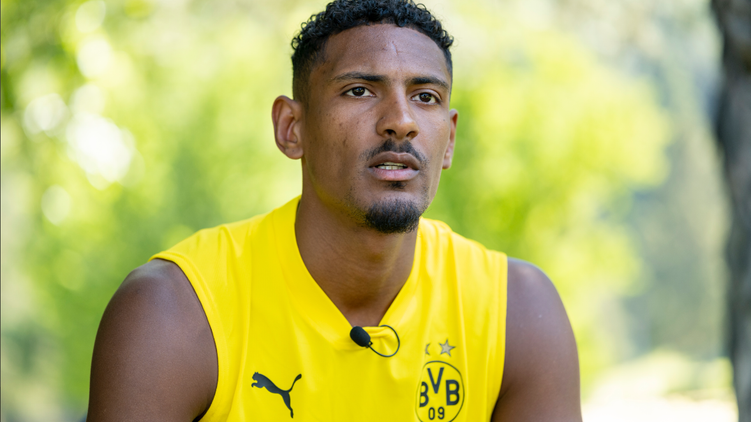 hererák, Sebastien Haller, Borussia, Dortmund, csatár