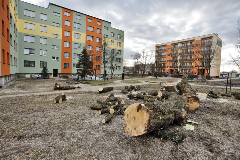 Zastali Polskę w ruinach, a zostawią w trocinach