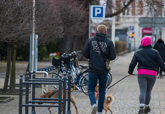 Polacy wzięli 27 mln zwolnień lekarskich w 2022 r. ZUS sprawdził z jakiego powodu najczęściej