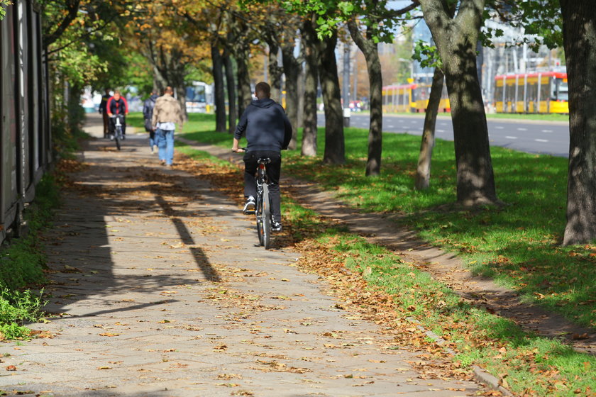 Rowerzyści apelują do dyrektora Zarządu Dróg Miejskich - Chcemy więcej ścieżek rowerowych