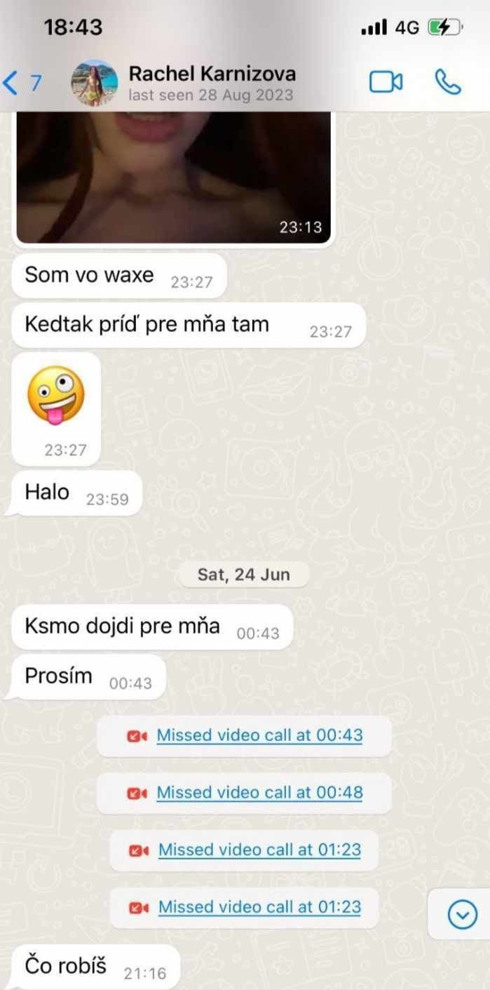 Filip Sulík zverejnil údajnú komunikáciu s Ráchel Karnižovou.