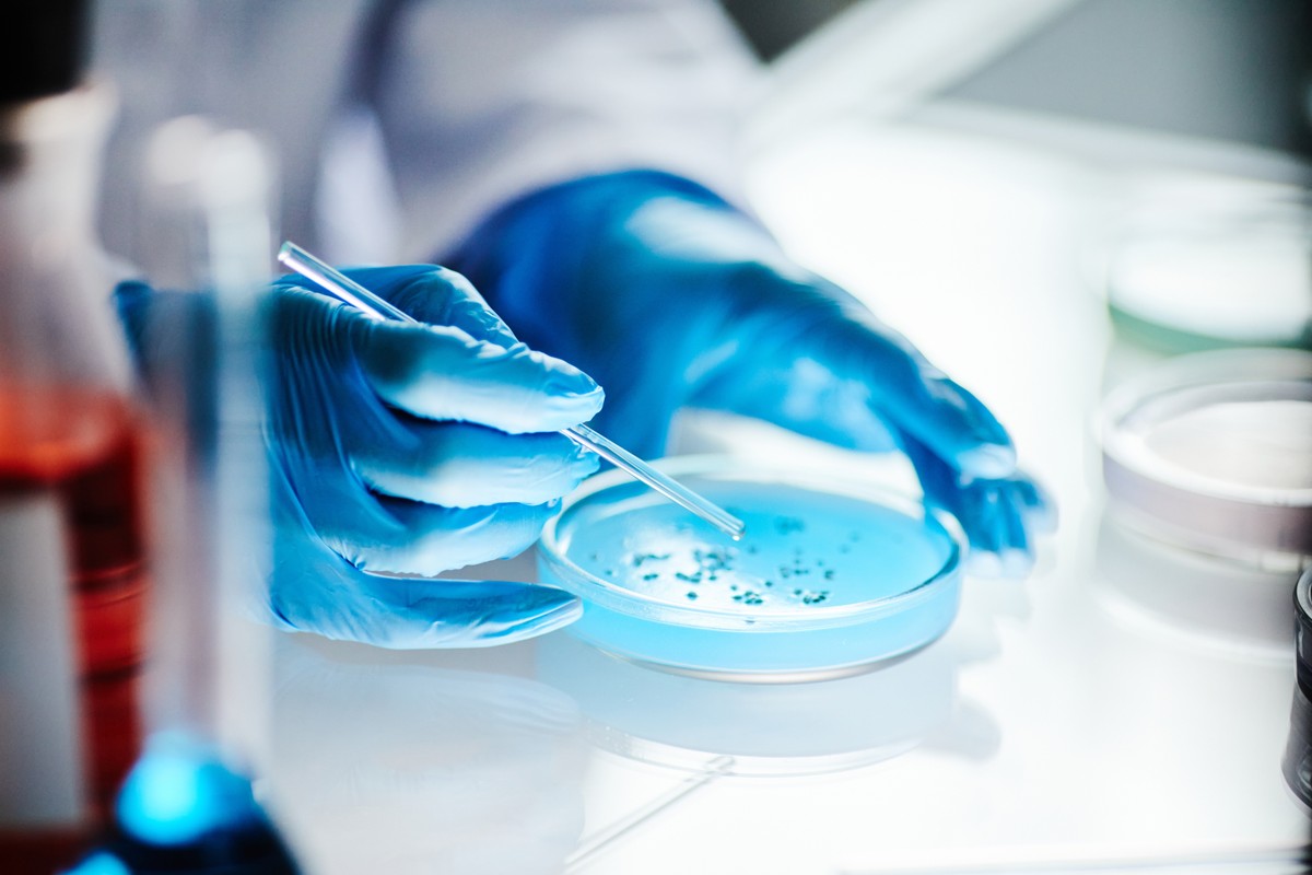 Pure Biologics ogłasza upadłość. Kurs akcji spada o 25 proc. w jeden dzień