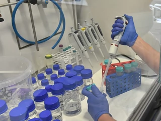 Polskie testy na koronawirusa mogą znacząco poprawić wydajność laboratoriów