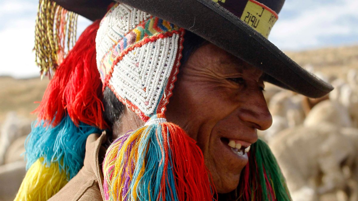 Shepherds Julian and Felipa Rojo catch alpacas for a routine check-up at a range in the Andean community of Upis at the highlands of Cuzco