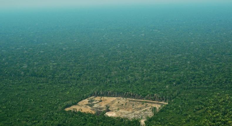 Almost 20 percent of the Amazon forest, pictured in 2017, has disappeared in the last half-century, according to the WWF