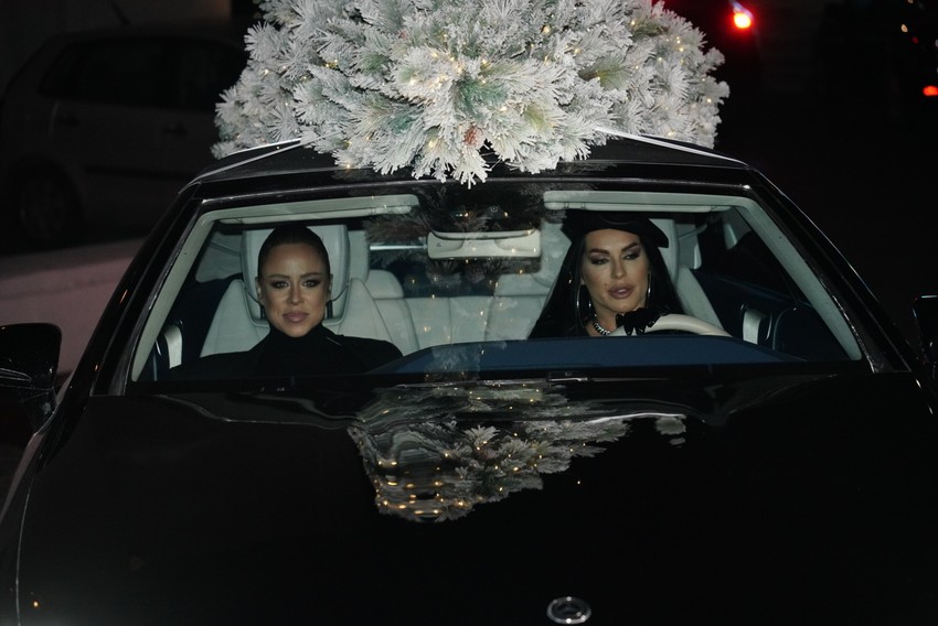 Slađa Alegro, Seka Aleksić