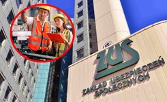 ZUS już wypłaca po 1269 zł. Jeśli złożysz wniosek, decyzję dostaniesz w 14 dni