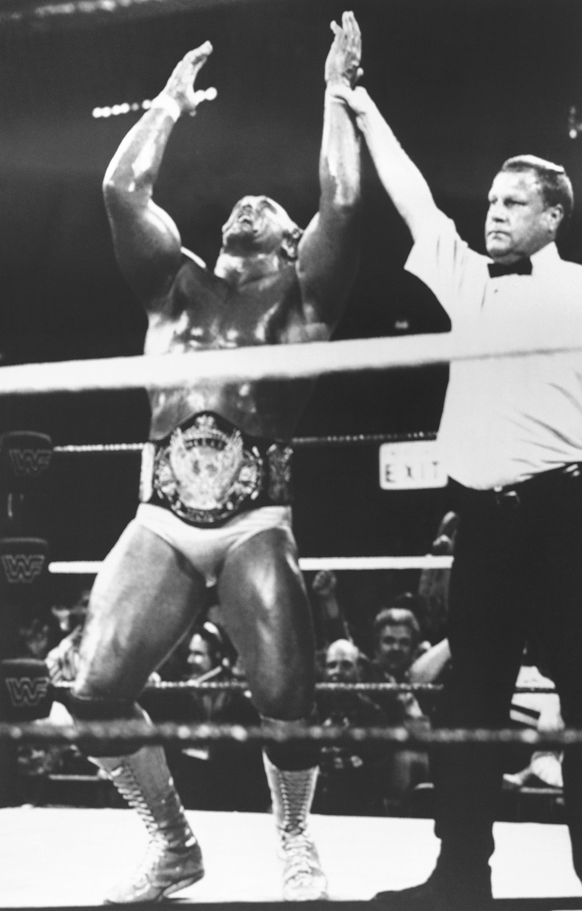 Legendárny wrestler a americký herec Hulk Hogan.