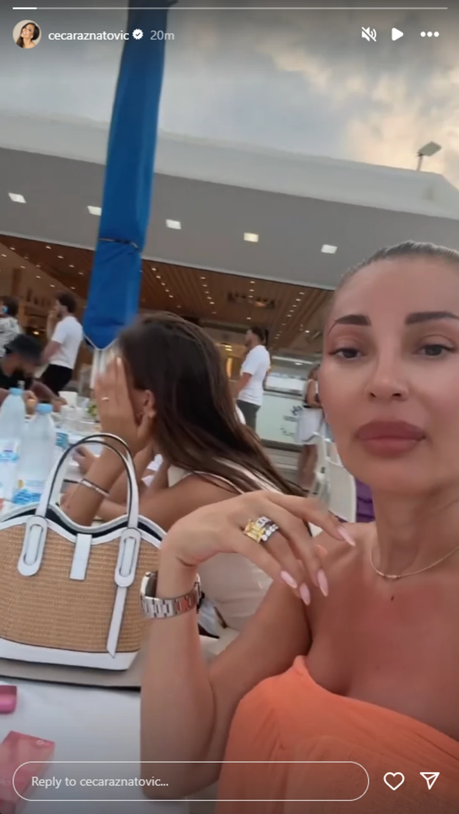 Ceca Ražnatović, objava