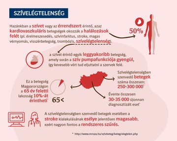 A szívelégtelenség okai