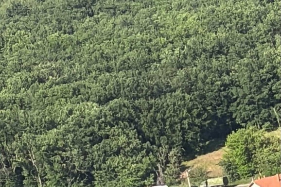 IMA POVREĐENIH Direktan sudar na putu ka selu Vinča: Hitne službe na trenu