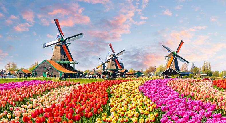 Keukenhof, Netherlands.Olena_Znak/Getty Images