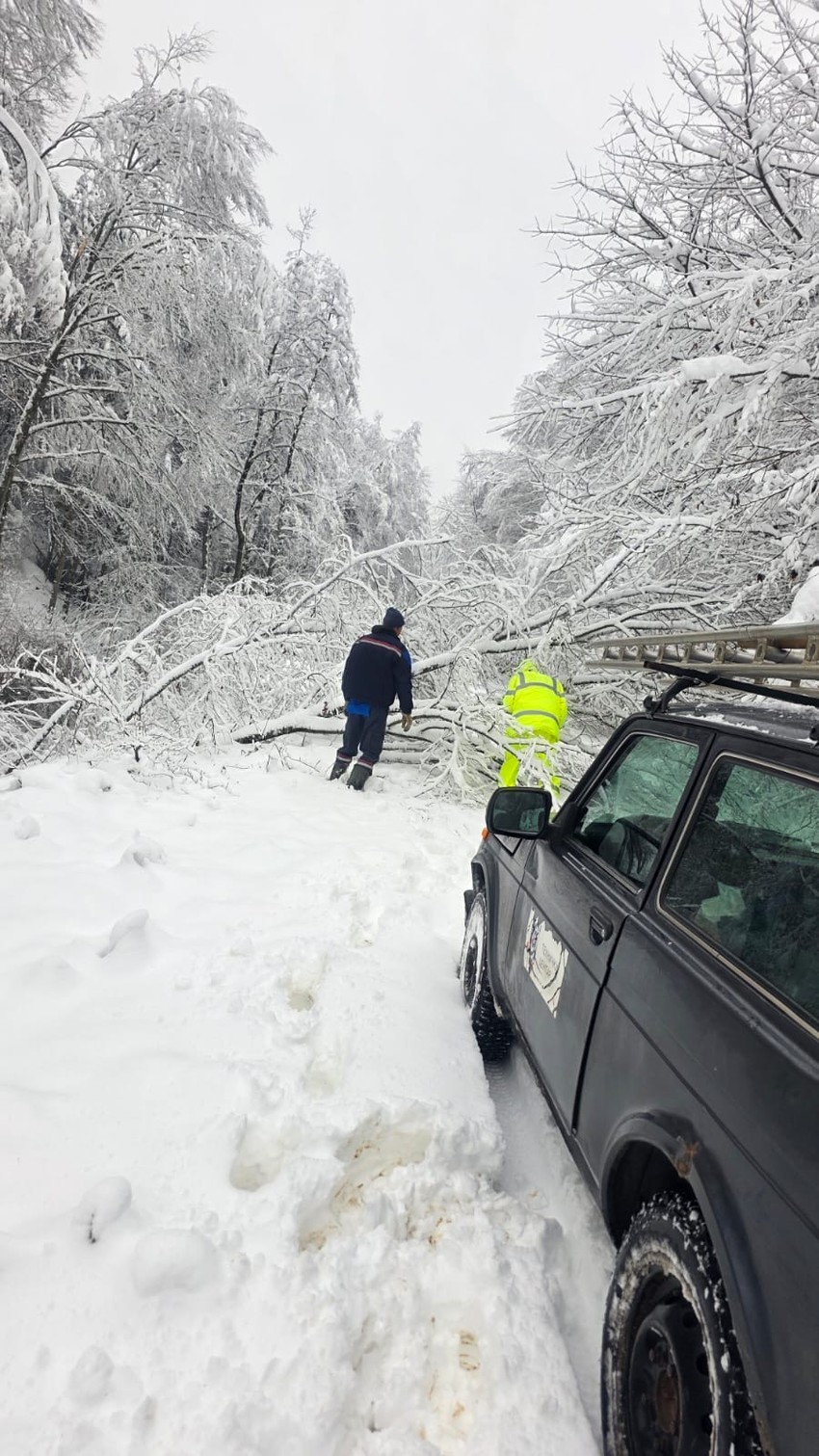 Zavejan put, polomljene grane dodatno otežavaju vožnju