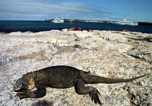 ECUADOR - GALAPAGOS