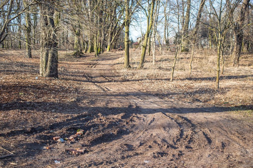 Odnowią park przy Browarnej