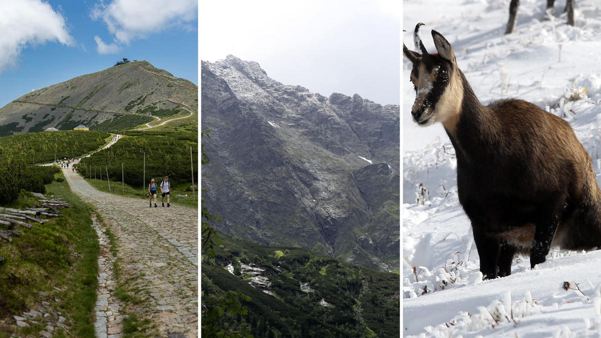 Znasz geografię Polski? Ten quiz to szybko zweryfikuje