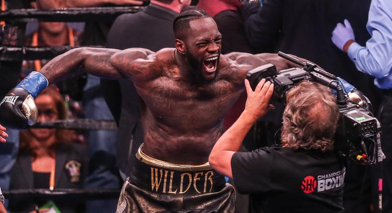 Deontay Wilder knockout video