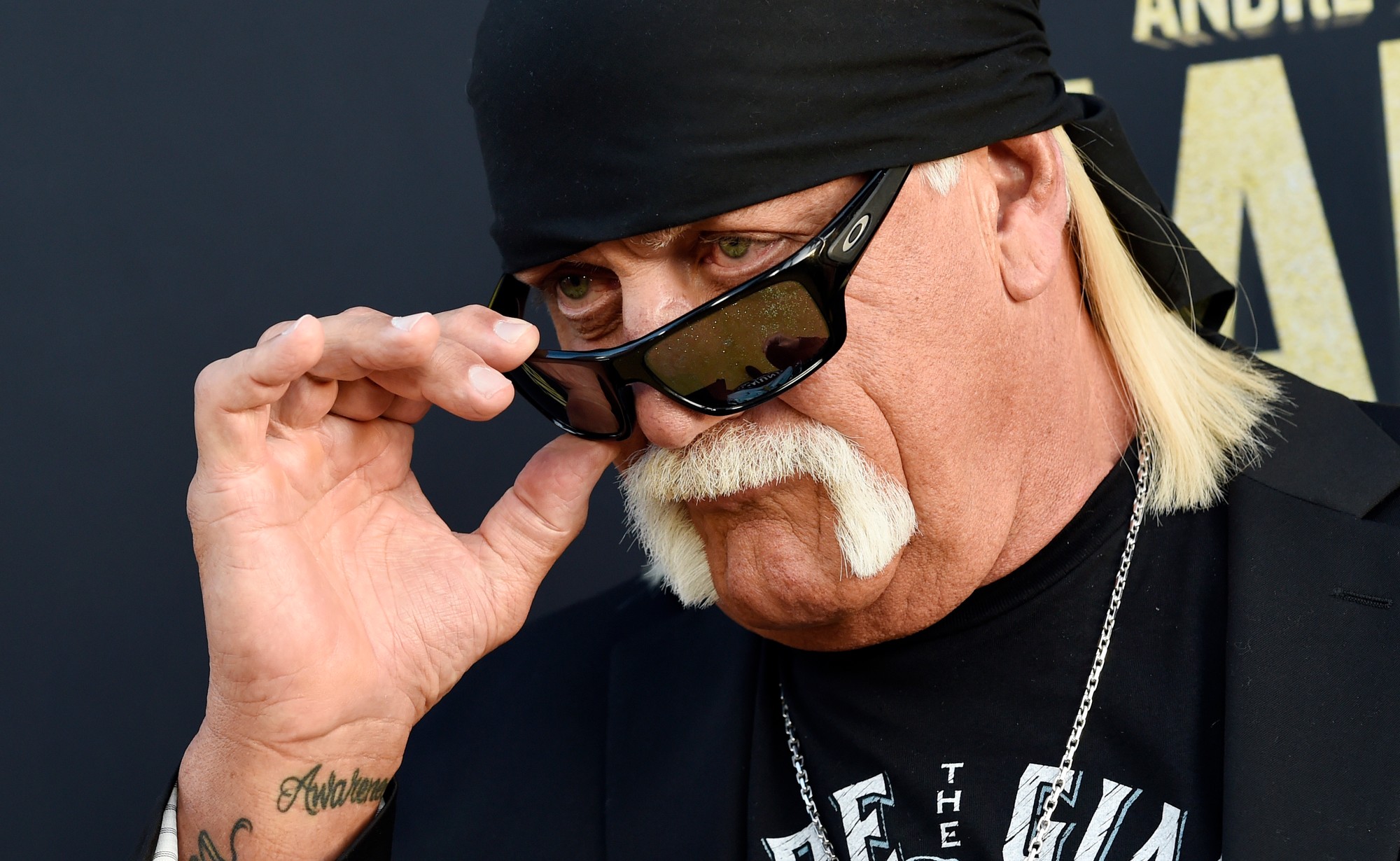 Legendárny wrestler a americký herec Hulk Hogan.
