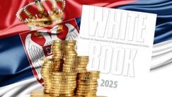 Bela knjiga Saveta stranih investitora 2025