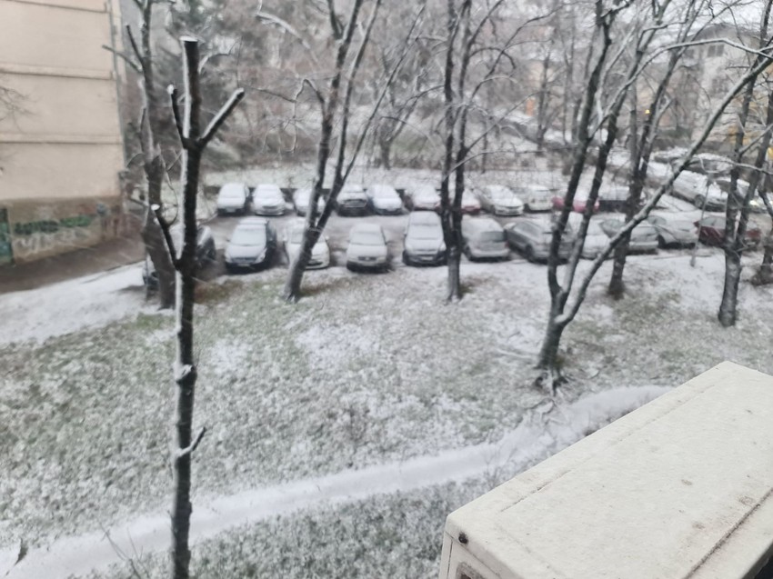 Zabelelo se na Banovom Brdu 