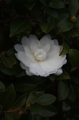 Wyspa Jeju i jej atrakcje