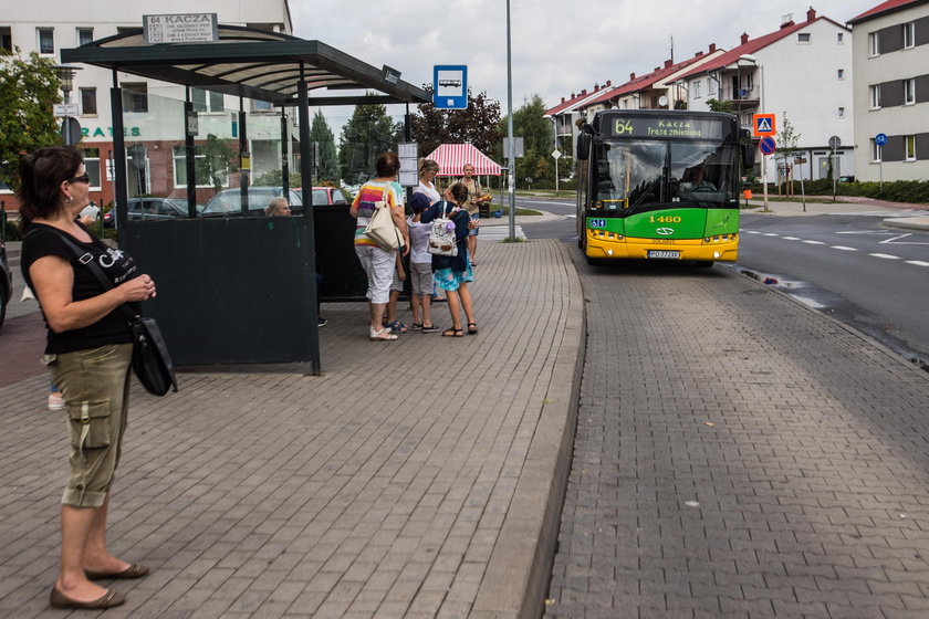 Nowa linia autobusowa na Strzeszyn od września