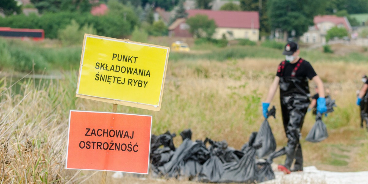 Część informacji dotyczących skażenia Odry stanowczo zdementowano.