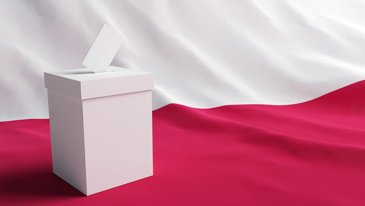 Międzynarodowi obserwatorzy chcą się przyjrzeć polskim procedurom wyborczym przy okazji jesiennej elekcji parlamentarnej, zapowiada "Rzeczpospolita".