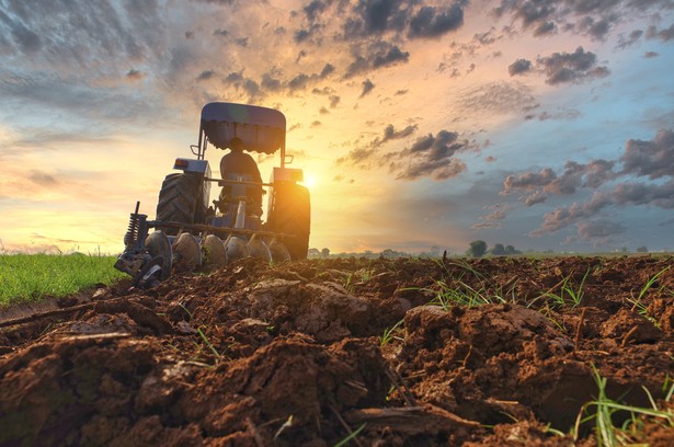 KE zatwierdziła program Polski na 1,3 mld euro, który ma wesprzeć producentów rolnych