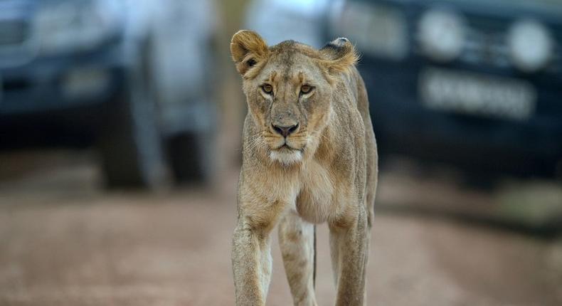 Police said a local pet dealer in his thirties was arrested after a concerned citizen made a complaint