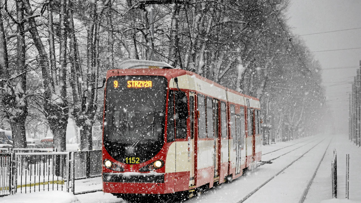 Podróże komunikacją miejską to dla wielu z nas konieczność i chleb powszedni. Ludzie są różni, tak więc wsiadając do autobusu czy tramwaju należy uzbroić się w cierpliwość i przestawić się na wyższy poziom tolerancji otoczenia. Co jednak zrobić, gdy współpasażer najzwyczajniej w świecie śmierdzi tak, że "nie da się wytrzymać"?