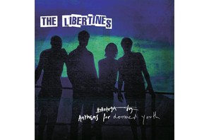 The Libertines płyta