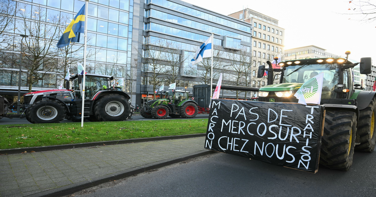15-000-agricultores-denuncian-pol-ticas-suicidas-de-la-UE-en-Bruselas