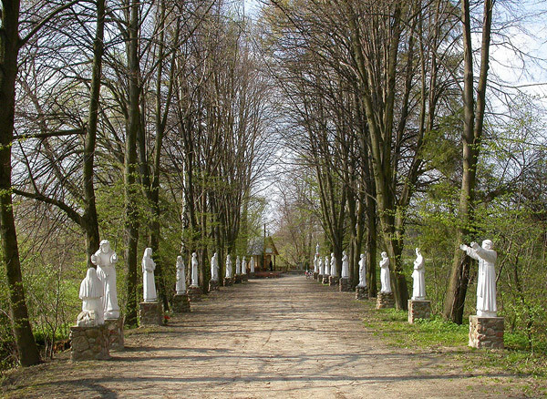 Urzędów, aleja prowadząca do sanktuarium św. Otylii