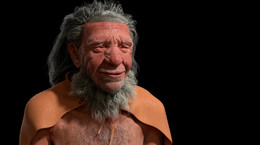 Mamy geny neandertalczyków, które wpływają na przebieg COVID-19