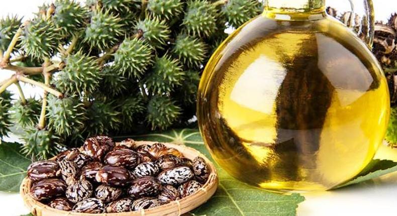 Castor oil has many health and beauty benefits aside its culinary uses.