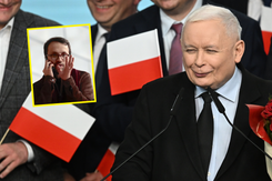 Wygrana PiS w wyborach. Zaskakujący komentarz Pereiry