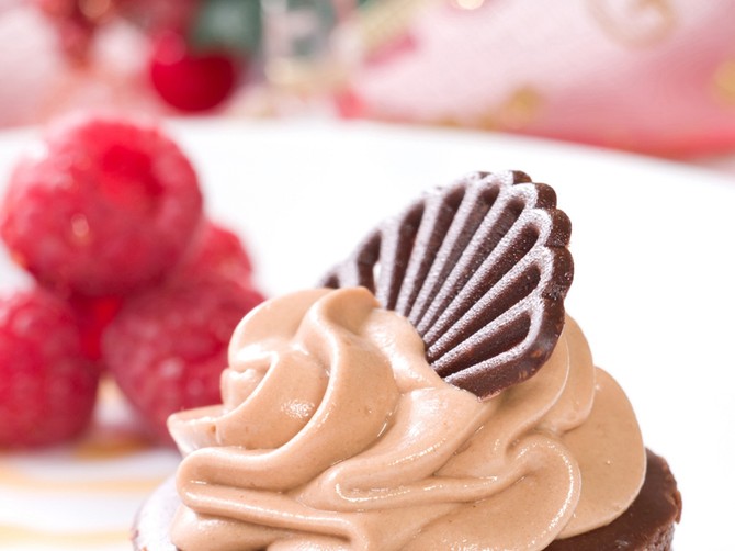 9623_bajadera-tortice-stock-photo-delicious-chocolate-cheesecake-served-with-fresh-raspberries-and-mint-christmas-ornament-out-of-foto-Dreamstime