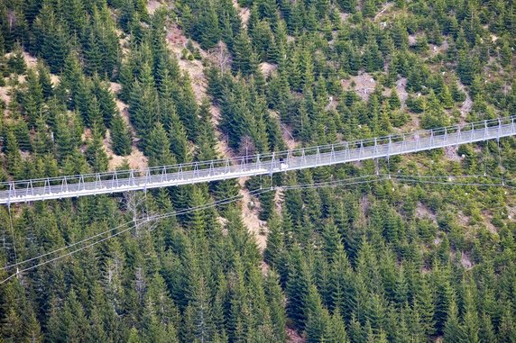 Sky Bridge