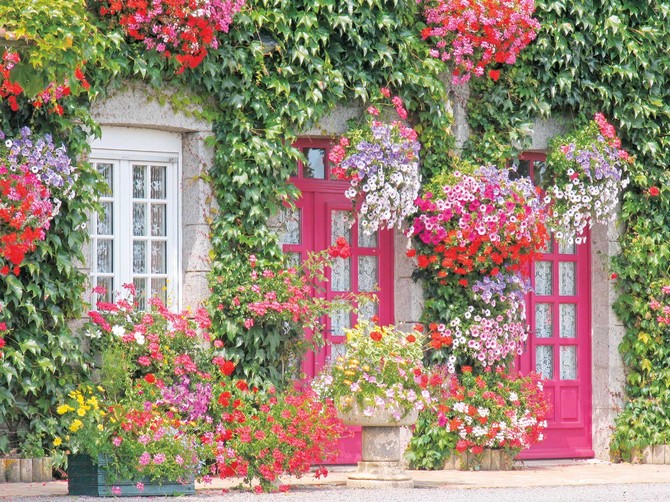 6822_stock-photo-le-haut-de-la-lande-house-with-flowers-brittany-northern-france-shutterstock_19423243