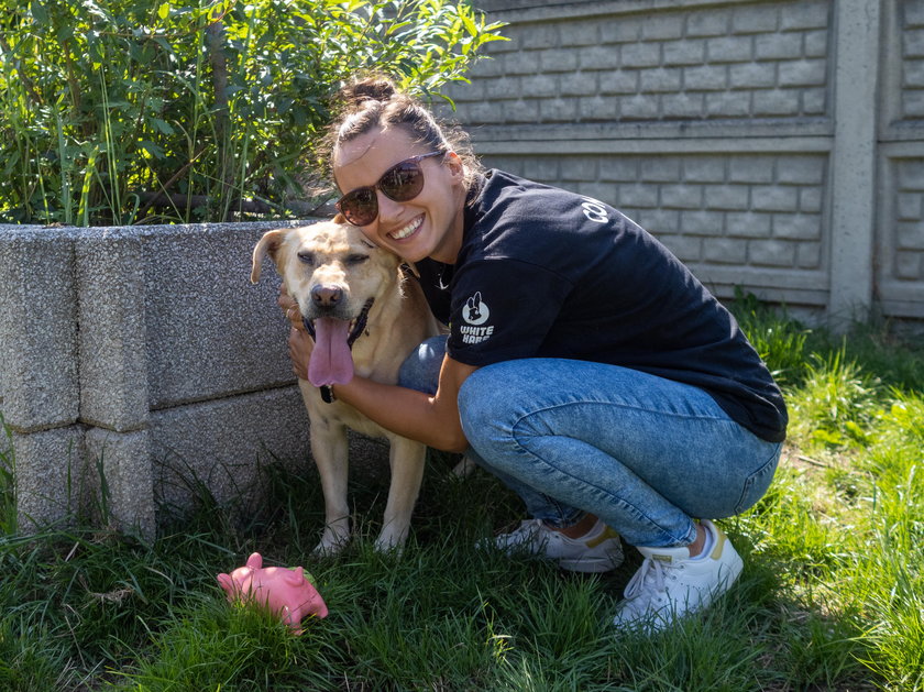 Siatkarki promują adopcje psiaków w schronisku