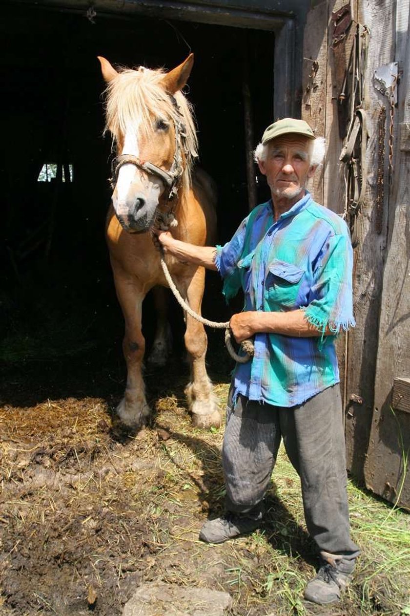 Koń zapadł mi się pod ziemię