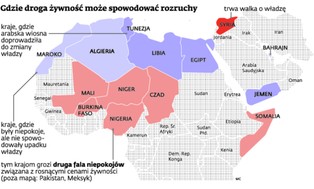 Po arabskiej wiośnie czas na głodowe bunty w Afryce