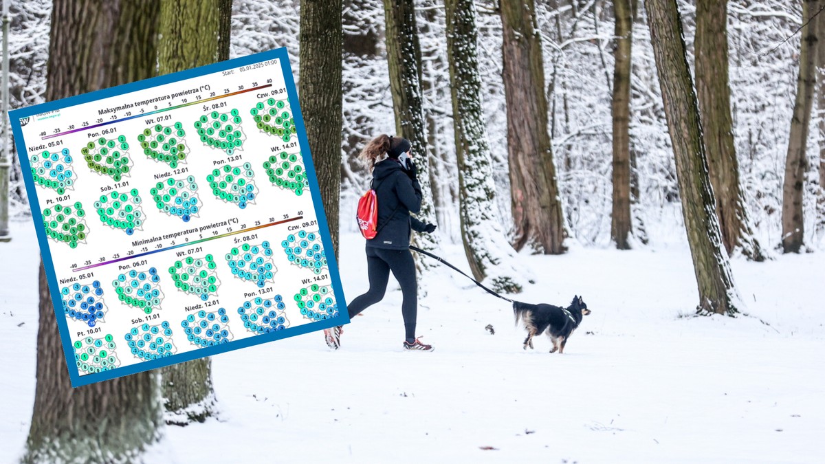 Nawet 10 st. Celsjusza. Zaskakująca pogoda w pierwszej połowie stycznia