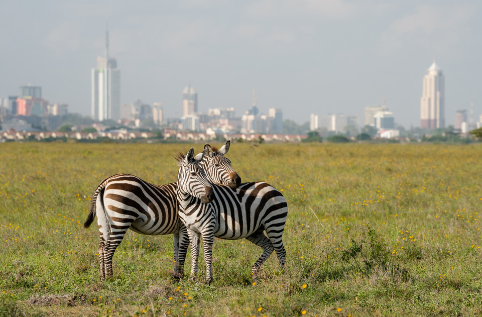 Park Narodowy Nairobi